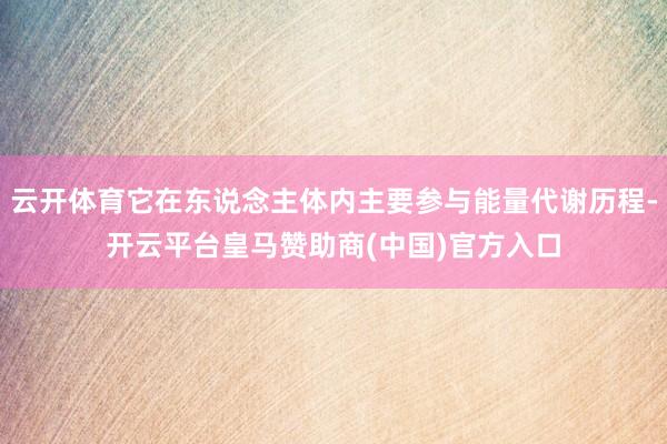 云开体育它在东说念主体内主要参与能量代谢历程-开云平台皇马赞助商(中国)官方入口