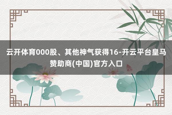 云开体育000股、其他神气获得16-开云平台皇马赞助商(中国)官方入口