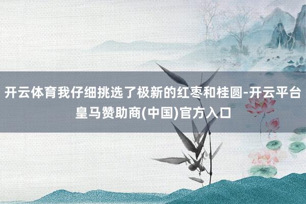 开云体育我仔细挑选了极新的红枣和桂圆-开云平台皇马赞助商(中国)官方入口