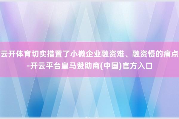 云开体育切实措置了小微企业融资难、融资慢的痛点-开云平台皇马赞助商(中国)官方入口